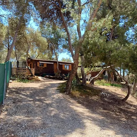 Casita De Madera Tibi