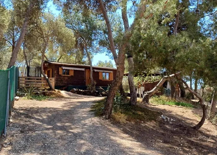 Casita De Madera Tibi